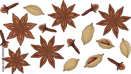 Star anise cardamom pods and cloves spice vector set aromatic herbal seasoning ingredients for cooking natural spice illustration