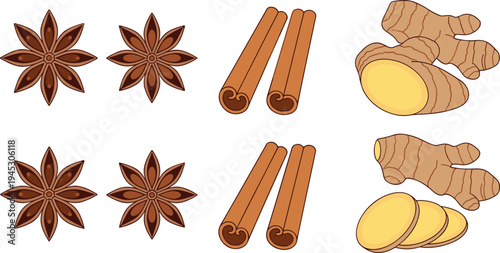 Star anise cinnamon sticks and ginger root vector illustration aromatic spice ingredients for cooking herbal seasoning collection set