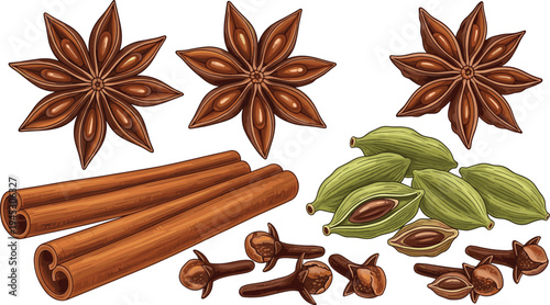 Star anise cinnamon sticks cardamom pods and cloves spice vector set aromatic cooking ingredients herbal seasoning illustration