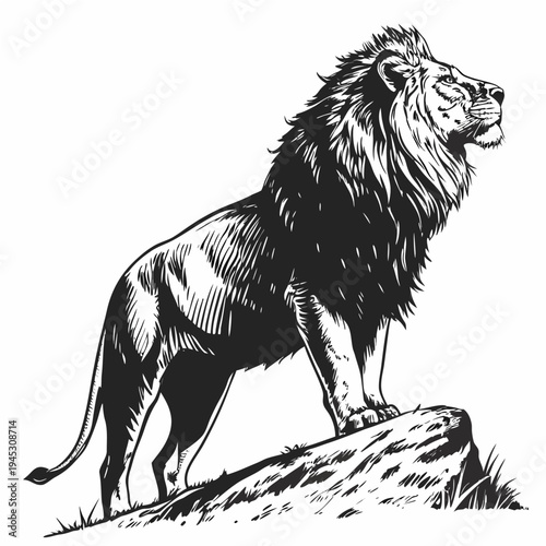 Proud Lion on a Rock

