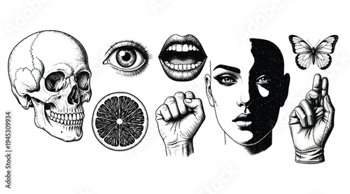 Black and white illustration of various human and nature symbols in a row on white background