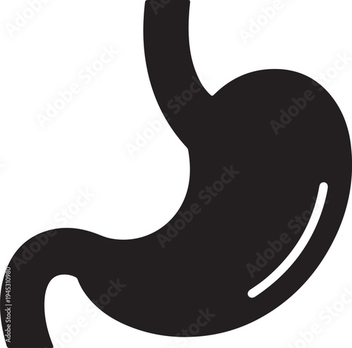 Vector illustration of a human stomach isolated PNG with Transparent Background