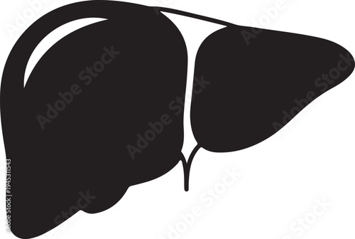 Vector illustration of a human liver in black isolated PNG with Transparent Background