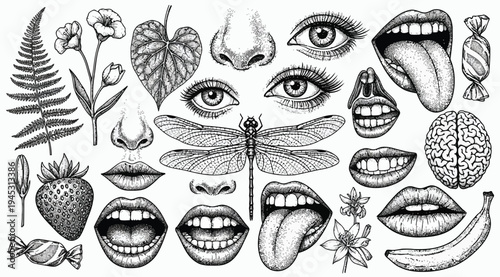 Black and white illustration of various body parts and objects including eyes, mouths, tongue, lips, teeth, nose, insect, fruits, and leaves on a white background
