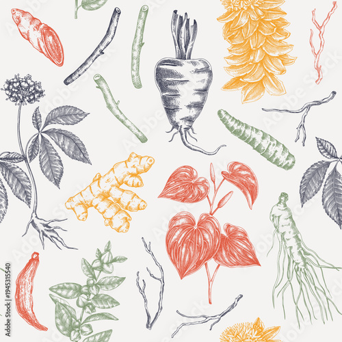 Vinatge apothecary seamless pattern. Medicinal roots background for herbal supplements, packaging, wellness branding. Hand drawn vector illustration. Not AI generated.