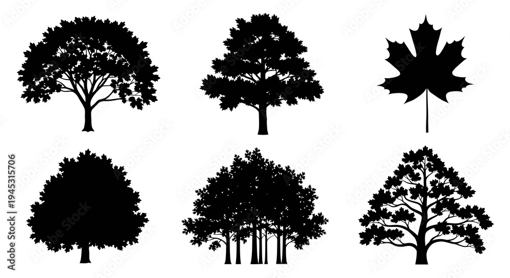 Fototapeta premium Nature Environment Vector Art: Diverse Black White Tree and Maple Leaf Silhouettes