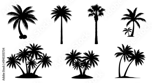 Tropical Palm Tree Silhouettes Vector Set for Travel, Summer  Nature Designs