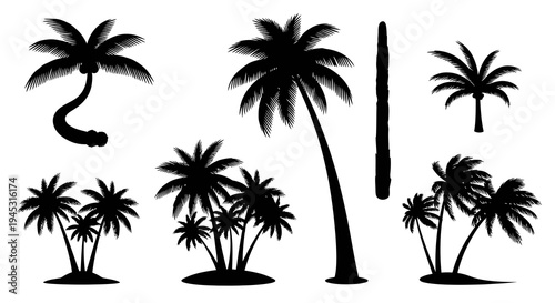 Silhouette Palm Trees Vector Icons Set - Tropical Beach Vacation