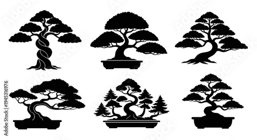 Black  White Silhouette Bonsai Trees In Pots Vector Art
