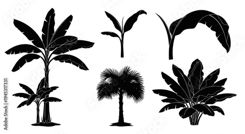 Tropical Plants Silhouettes: Banana Trees, Palm, Leaves, Black  White