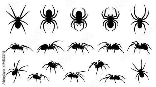 Collection of black spider silhouettes in various poses and angles, isolated on a white background, perfect for Halloween designs.