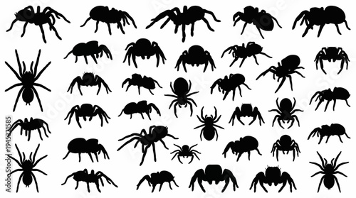 A collection of black spider silhouettes in various poses and sizes, creating a pattern on a white background.