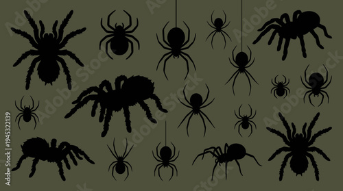 A collection of various spider silhouettes in different sizes and poses against a dark green background, perfect for spooky themes.