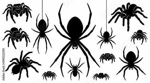 Collection of black spider silhouettes in various poses and sizes, including tarantulas and web-dwelling spiders, isolated on a white background.