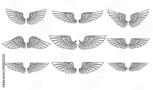 Vintage feather wing emblem bundle for logo label badge and brand mark vector