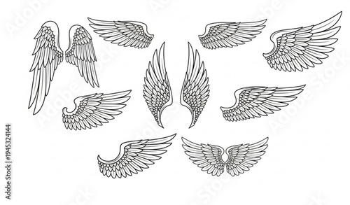 Retro feather wings emblem collection for logo badge label and vintage branding