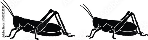 grasshopper silhouette pair illustration, insect nature icon design, jumping grasshopper graphic, black insect silhouettes, wildlife bug artwork, entomology insect symbol