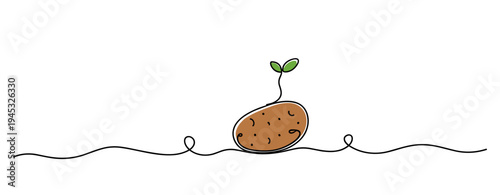 Potato sprouting with small seedling on surface in line art