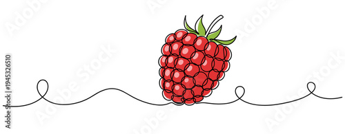 Raspberry fruit resting on continuous decorative line background