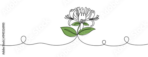 Flower with leaves drawn in continuous line on white background