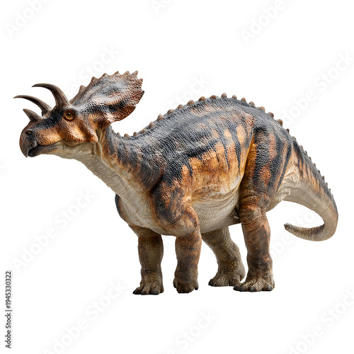 Realistic 3D render of a Triceratops dinosaur with horns and frill, prehistoric herbivore on a Transparent background.