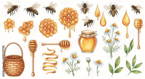 Watercolor illustration of honey related objects isolated on a white background
