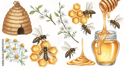 Watercolor illustration of honey bees honeycomb beehive and flowers