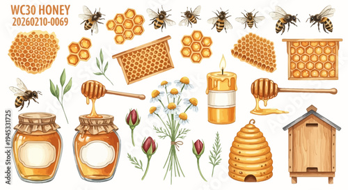 Watercolor illustration of honey bees honeycomb and related objects