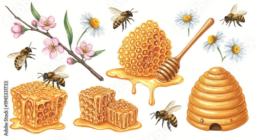 Watercolor illustration of honey bees honeycomb flowers and beehive