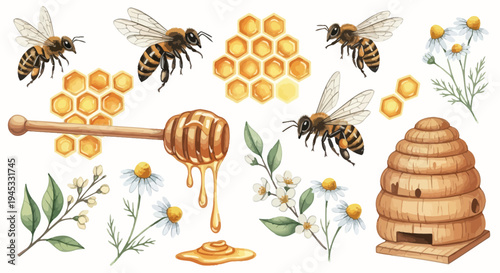 Watercolor illustration of honey bees honeycomb flowers and honey dipper elements