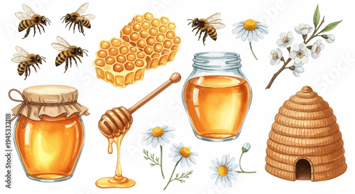 Watercolor illustration of honey production elements on white background