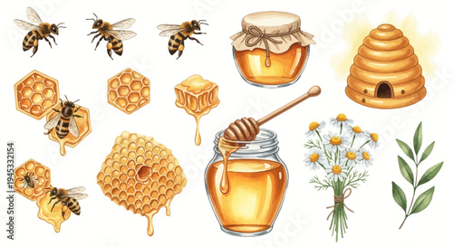 Watercolor illustration of honey production elements for design and advertising