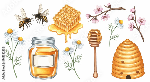Watercolor illustration of honey related elements for design and decoration