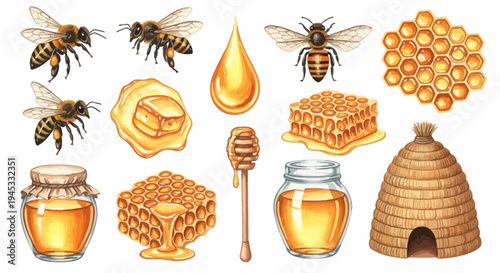 Watercolor illustration of honey related elements for design and decoration