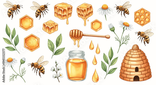 Watercolor illustration of honey related elements for design and decoration