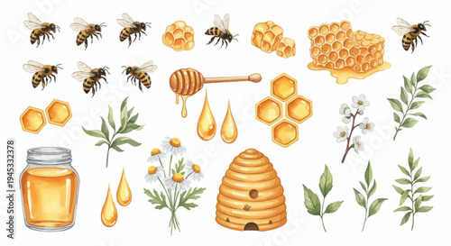 Watercolor illustration of honey related elements for design and decoration