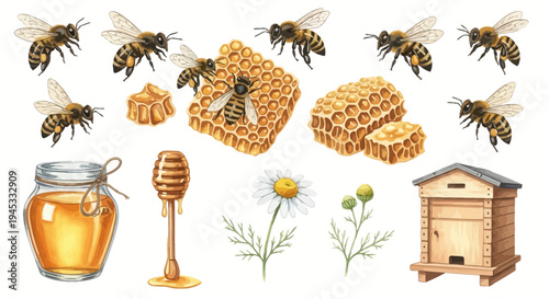 Watercolor illustration of honeybee honeycomb and related items on white