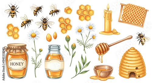 Watercolor illustration of honey related objects isolated on a white background