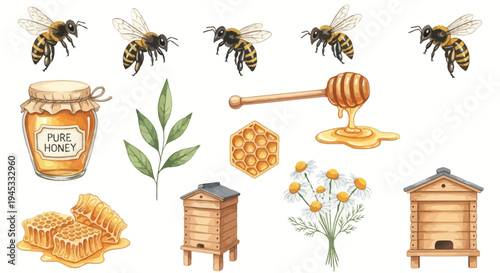 Watercolor illustration of honeybees honey jar and honeycomb elements