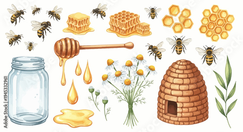 Watercolor illustration of honeybees honeycomb and honey for design elements