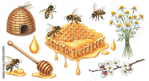 Watercolor illustration of honeybees honeycomb beehive flowers and honey drops