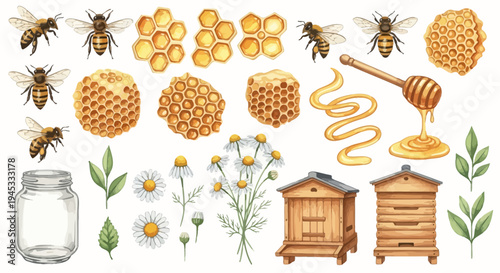 Watercolor illustration of honeybees honeycomb flowers and related elements