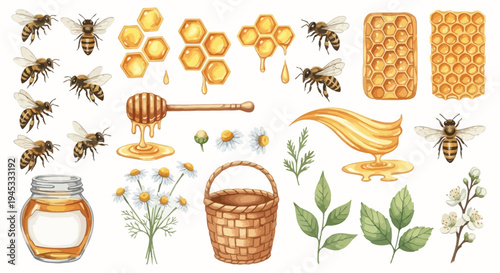 Watercolor illustration of honeybees honeycomb honey dipper and flowers
