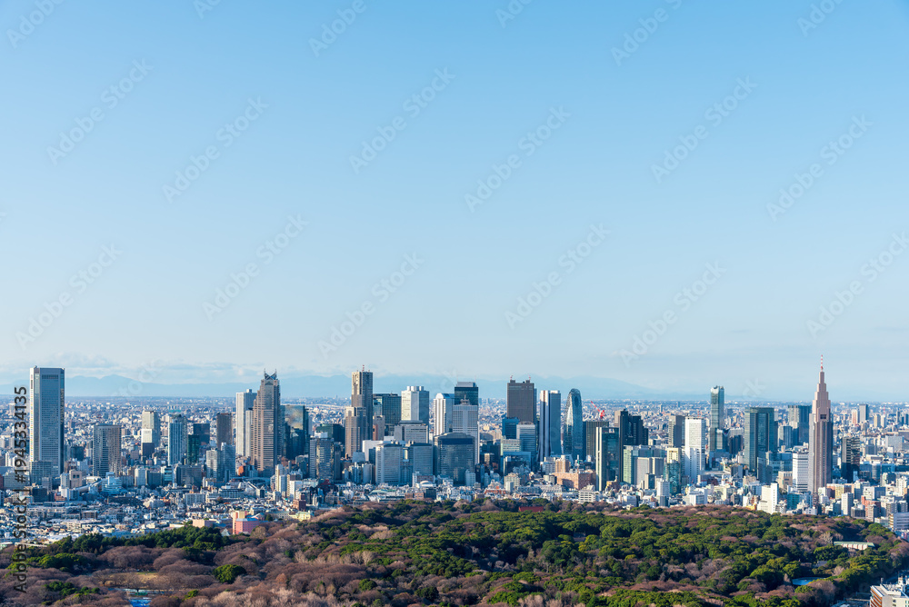 Obraz premium High angle panoramic view of Tokyo city skyline with Shinjuku skyscrapers and Yoyogi Park under a clear blue sky. Concept of urban landscape, metropolitan growth and travel destination in Japan.
