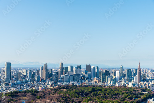 High angle panoramic view of Tokyo city skyline with Shinjuku skyscrapers and Yoyogi Park under a clear blue sky. Concept of urban landscape, metropolitan growth and travel destination in Japan.