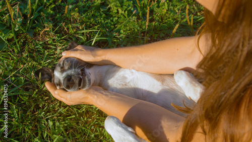 CLOSE UP, TOP DOWN: Woman caresses a cheerful mixed breed dog in a grassy field bathed in warm sunlight. Relaxed smile of a pet and gentle eye contact capture tender moment of trust and companionship.