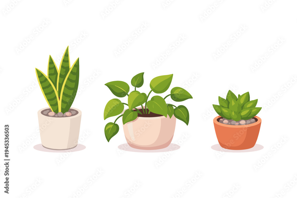 Obraz premium Three potted houseplants with vibrant green leaves in simple ceramic pots