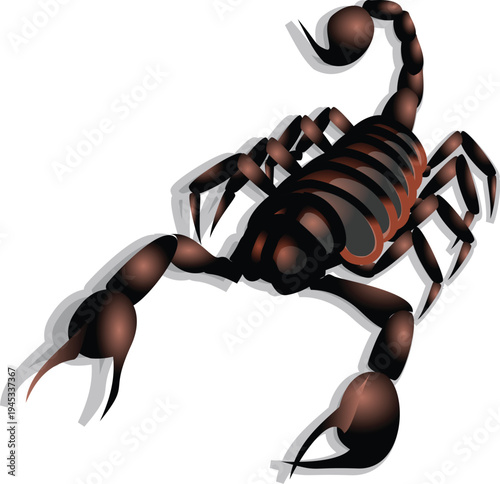 An isolated black scorpion illustration with a dangerous venomous stinger and claws represents the scorpio zodiac sign and poisonous wildlife nature