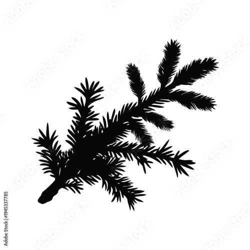 pine branch silhouette vector illustration, black and white pine tree branches with needles silhouette vector illustration