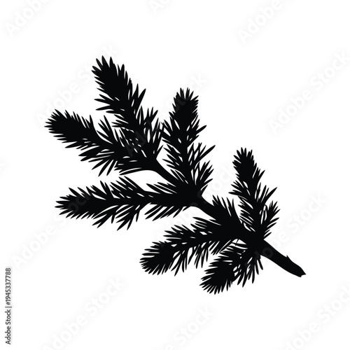 pine branch silhouette vector illustration, Silhouette of pine branch with needles in detailed vector illustration design